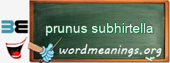 WordMeaning blackboard for prunus subhirtella